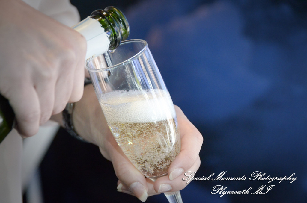 Rachel & Steven at Polar Bear Exhibit Toledo Zoo Toledo OH wedding photography