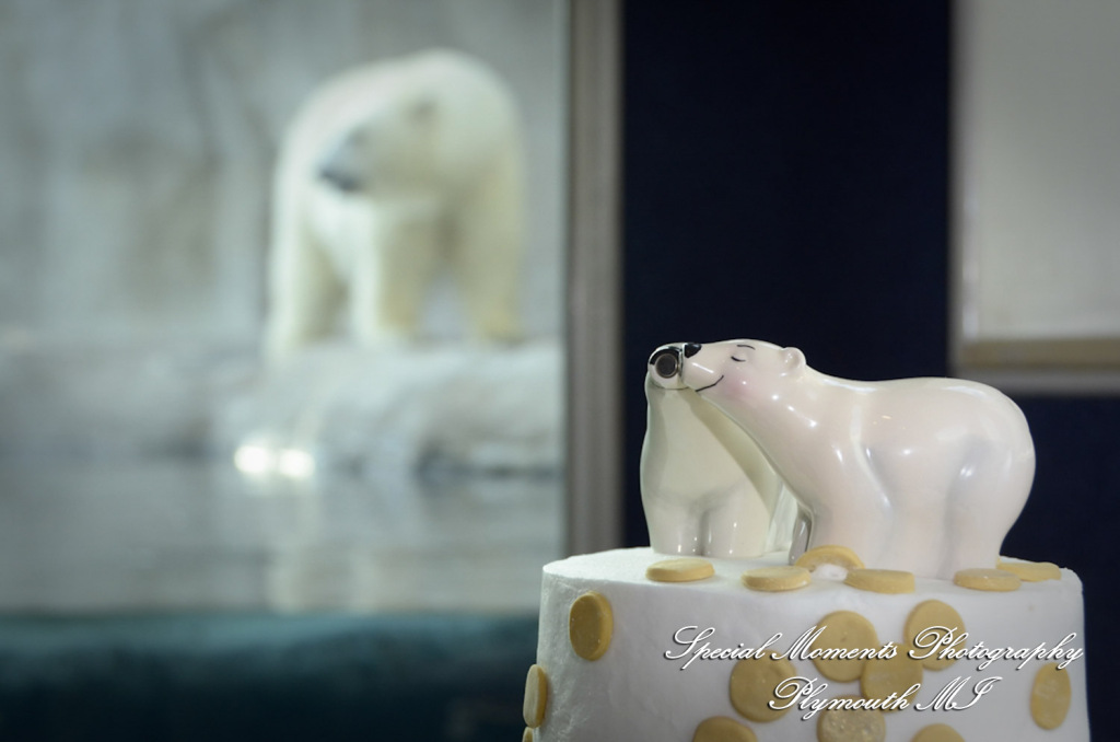 Rachel & Steven at Polar Bear Exhibit Toledo Zoo Toledo OH wedding photography