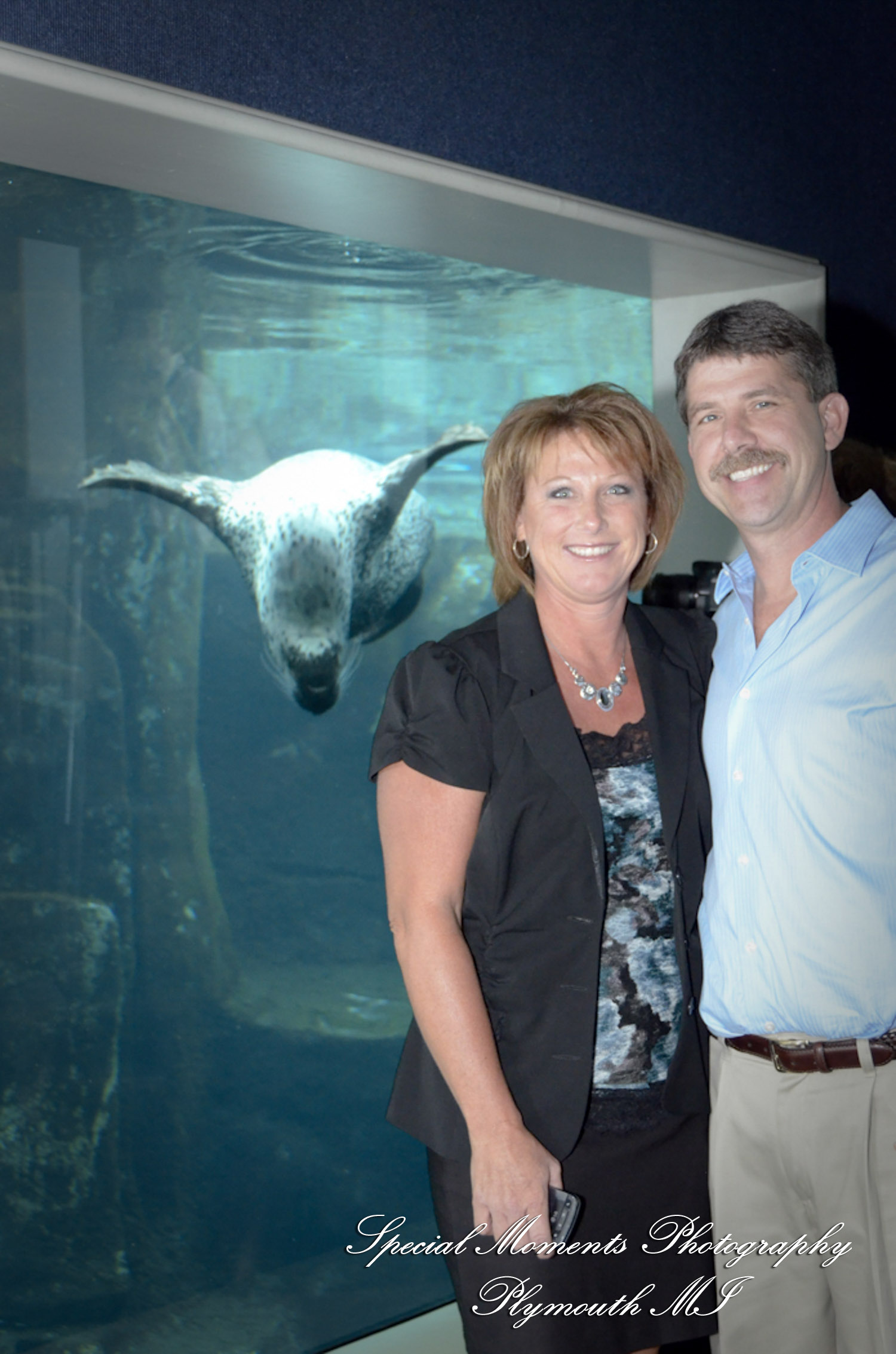 Rachel & Steven at Polar Bear Exhibit Toledo Zoo Toledo OH wedding photography