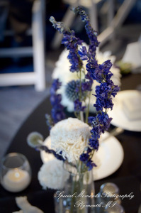 Rachel & Steven at Polar Bear Exhibit Toledo Zoo Toledo OH wedding photography