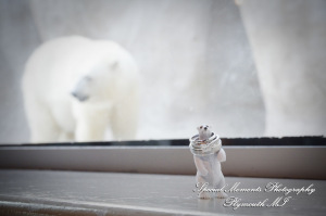 Rachel & Steven at Polar Bear Exhibit Toledo Zoo Toledo OH wedding photography