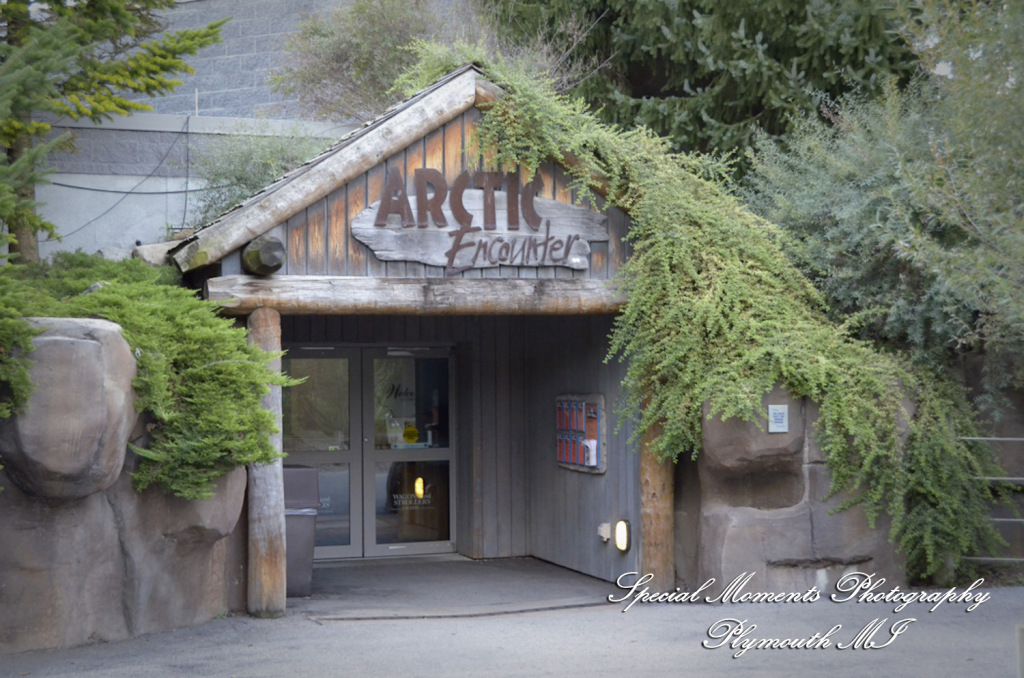 Rachel & Steven at Polar Bear Exhibit Toledo Zoo Toledo OH wedding photography