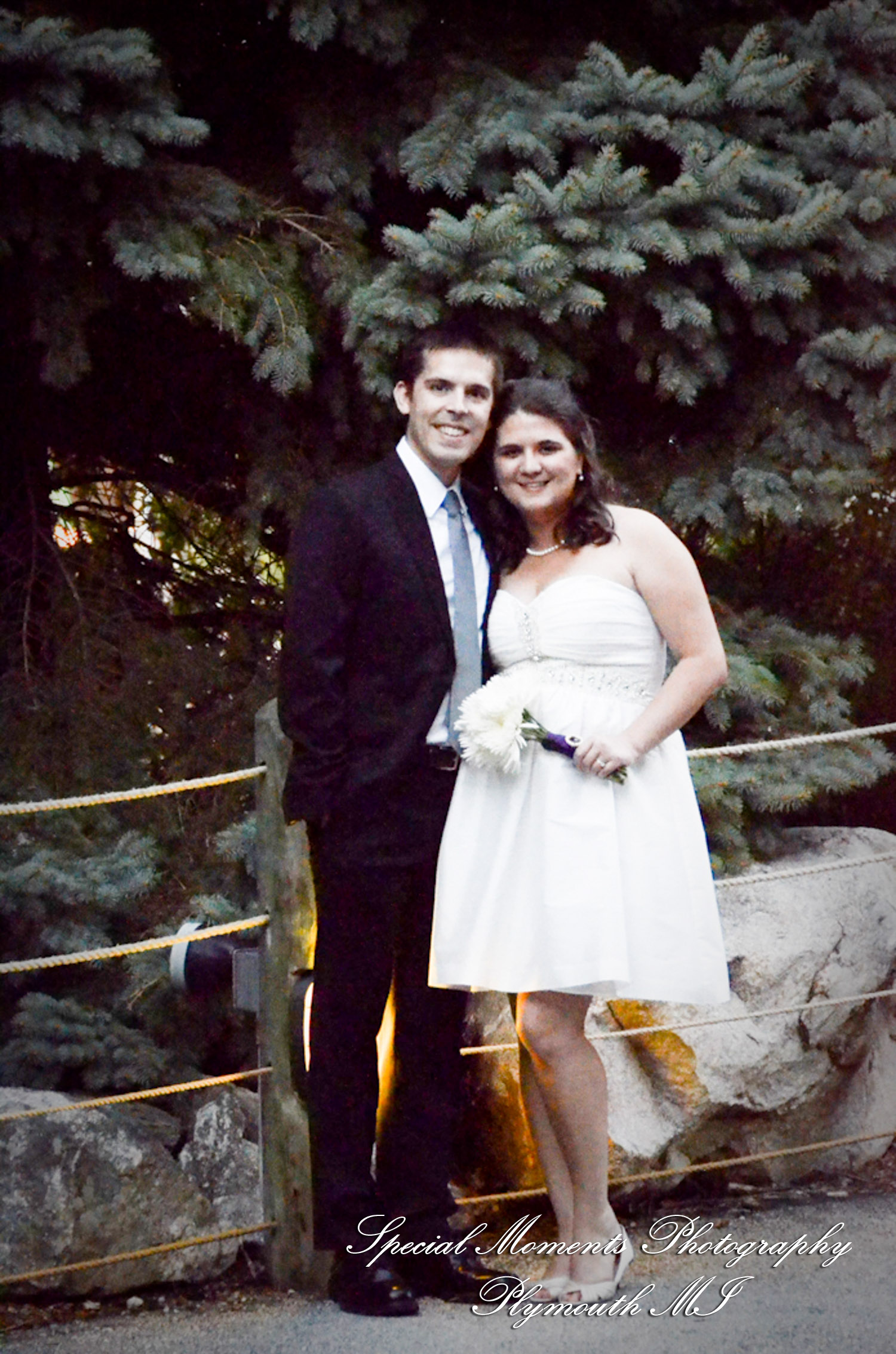 Rachel & Steven at Polar Bear Exhibit Toledo Zoo Toledo OH wedding photography