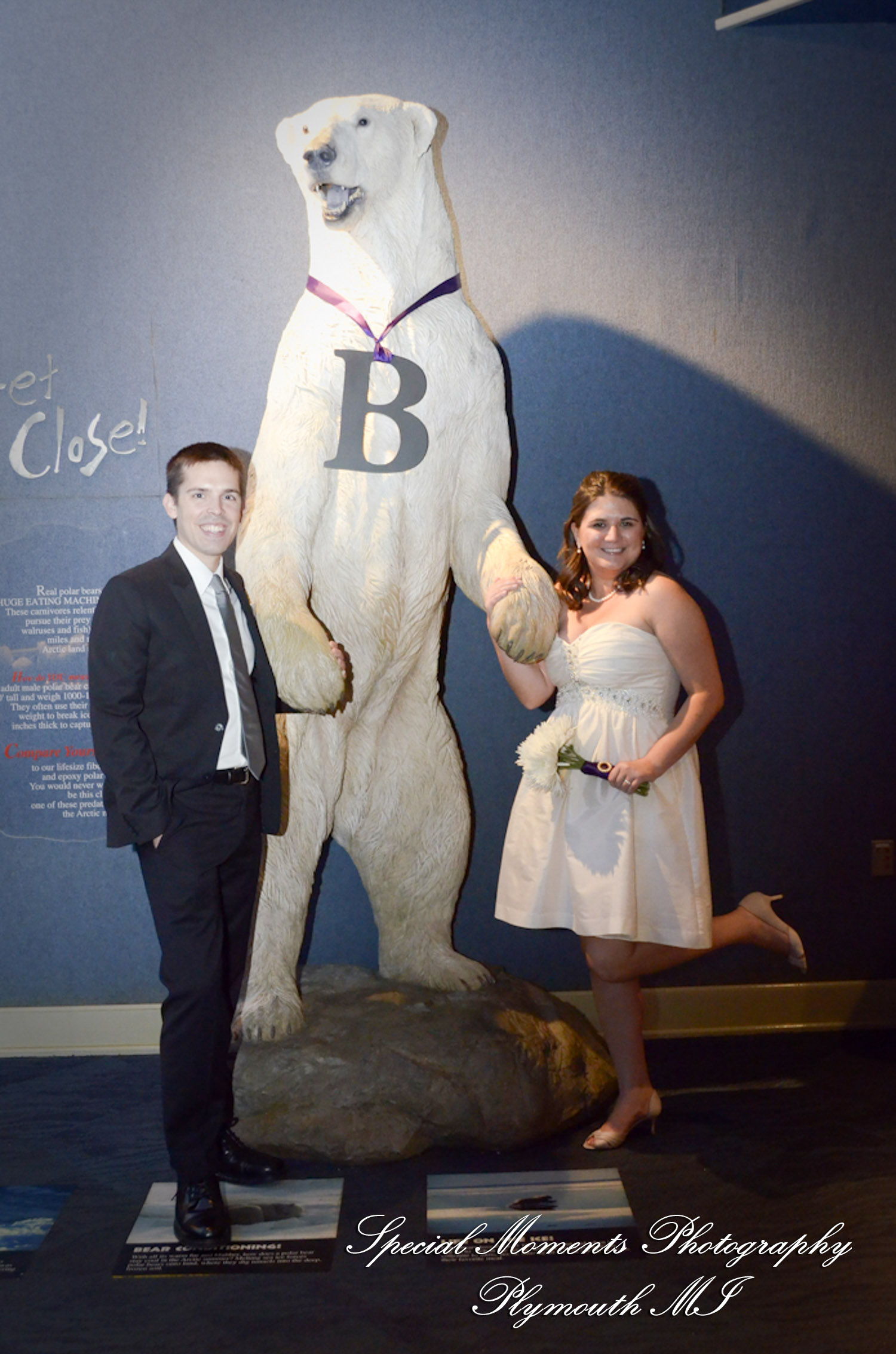 Rachel & Steven at Polar Bear Exhibit Toledo Zoo Toledo OH wedding photography