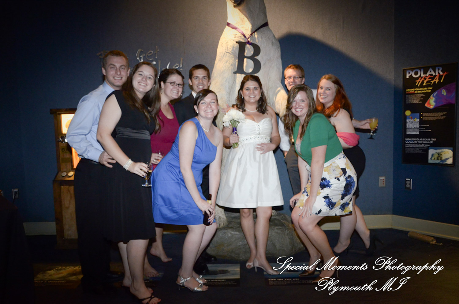 Rachel & Steven at Polar Bear Exhibit Toledo Zoo Toledo OH wedding photography