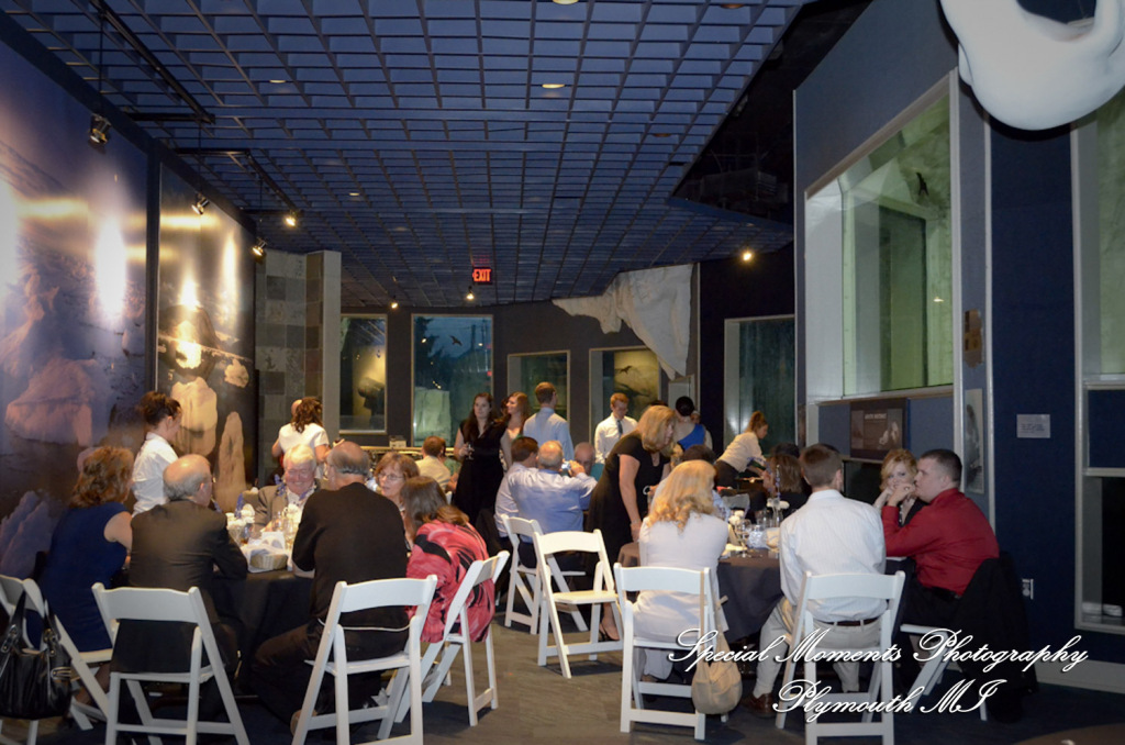 Rachel & Steven at Polar Bear Exhibit Toledo Zoo Toledo OH wedding photography