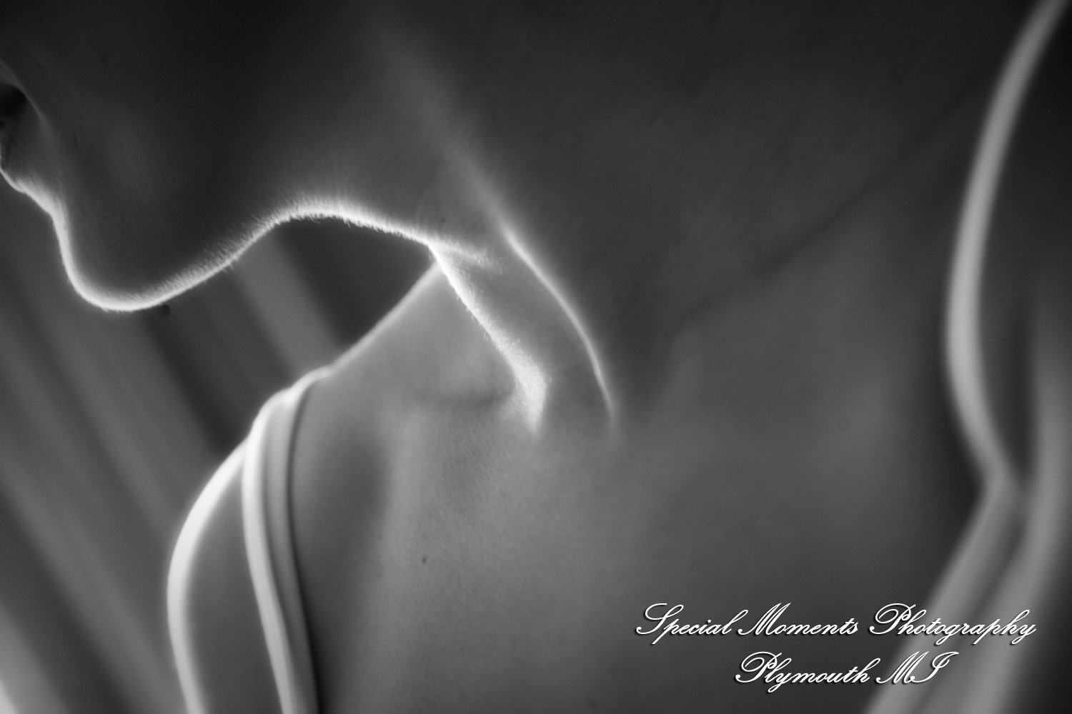 Nicole & Rob at Lovett Hall Greenfield Village Dearborn MI wedding photography