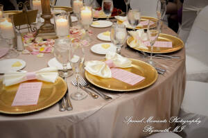 Arielle & Dave at St. John’s Resort Provincial Ballroom MI wedding photography