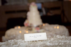 Arielle & Dave at St. John’s Resort Provincial Ballroom MI wedding photography