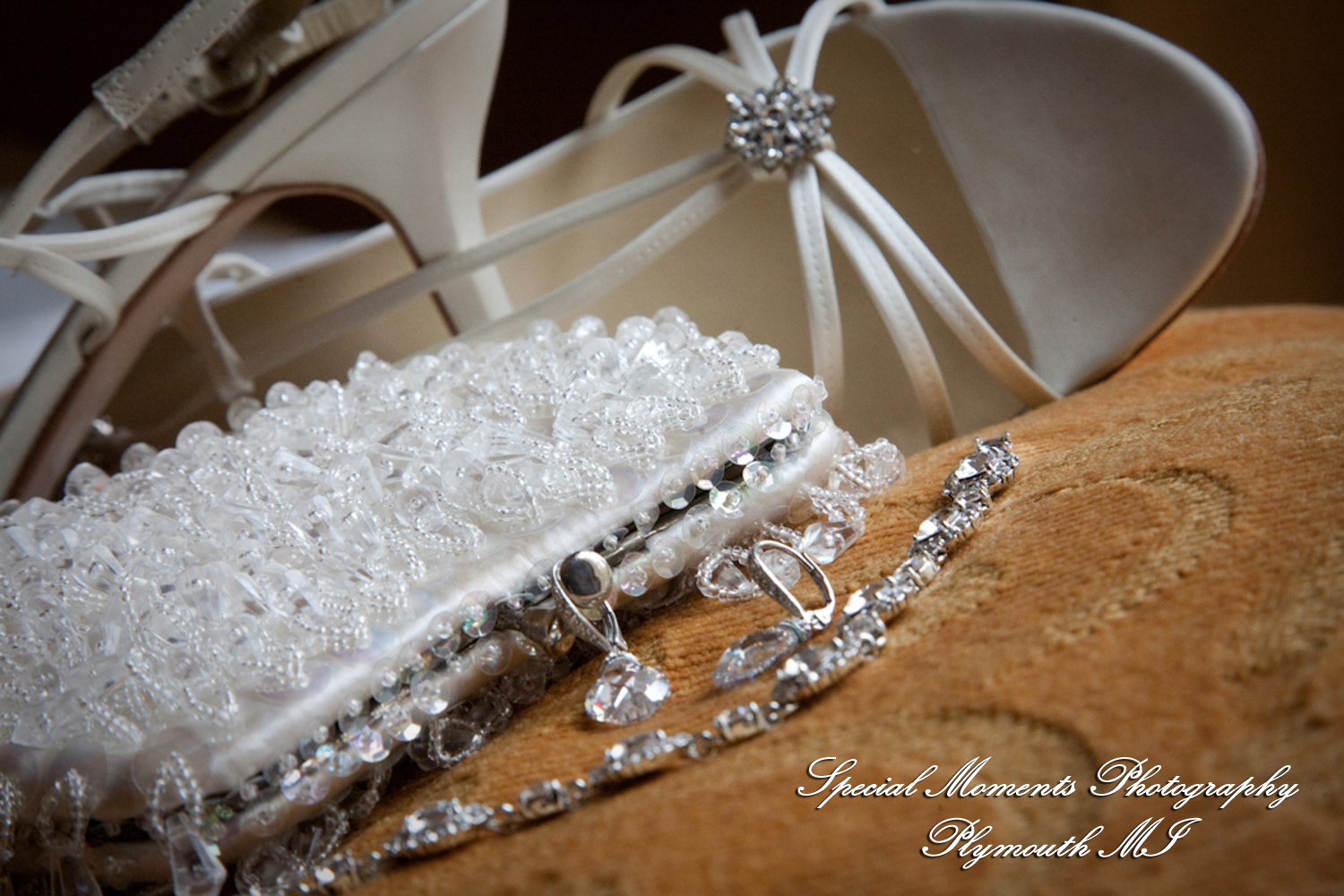 Nicole & Rob at Lovett Hall Greenfield Village Dearborn MI wedding photography