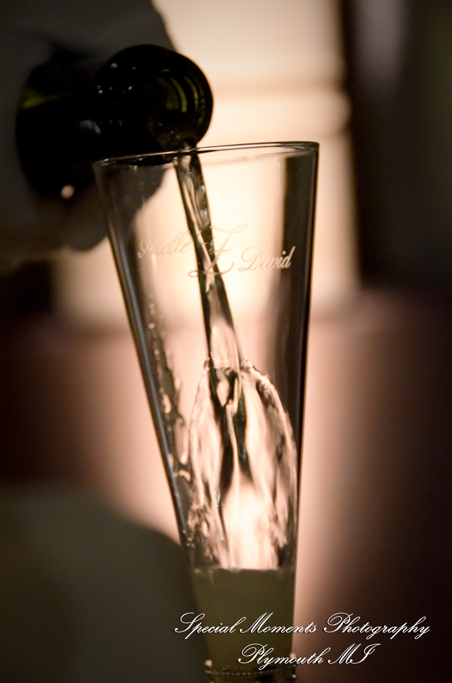 Arielle & Dave at St. John’s Resort Provincial Ballroom MI wedding photography