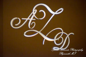 Arielle & Dave at St. John’s Resort Provincial Ballroom MI wedding photography