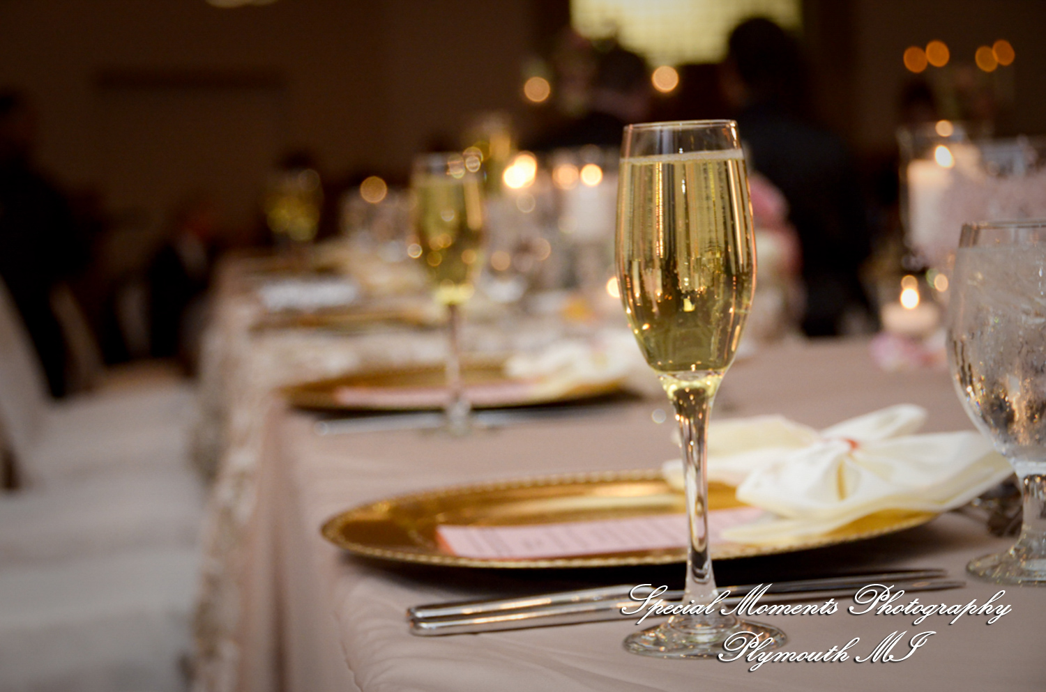 Arielle & Dave at St. John’s Resort Provincial Ballroom MI wedding photography