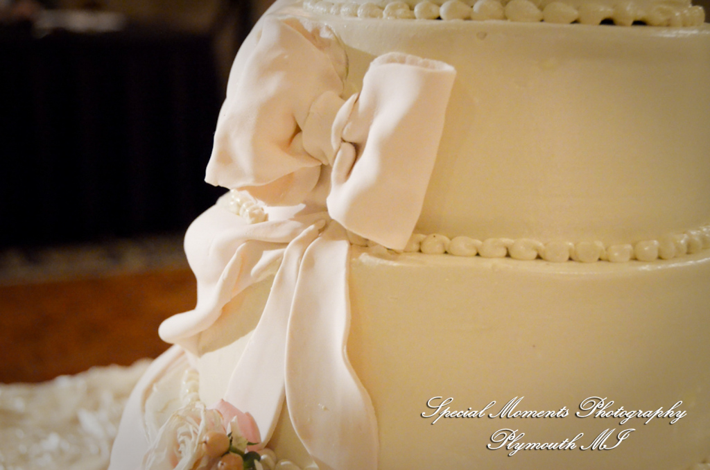 Arielle & Dave at St. John’s Resort Provincial Ballroom MI wedding photography