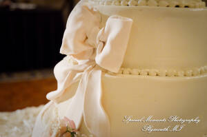 Arielle & Dave at St. John’s Resort Provincial Ballroom MI wedding photography