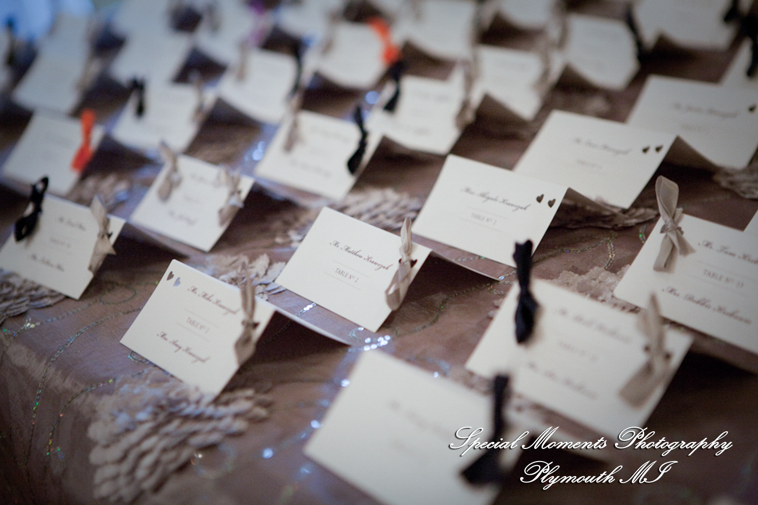 Nicole & Rob at Lovett Hall Greenfield Village Dearborn MI wedding photography