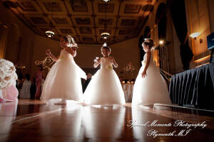 Arielle & Dave at St. John’s Resort Provincial Ballroom MI wedding photography