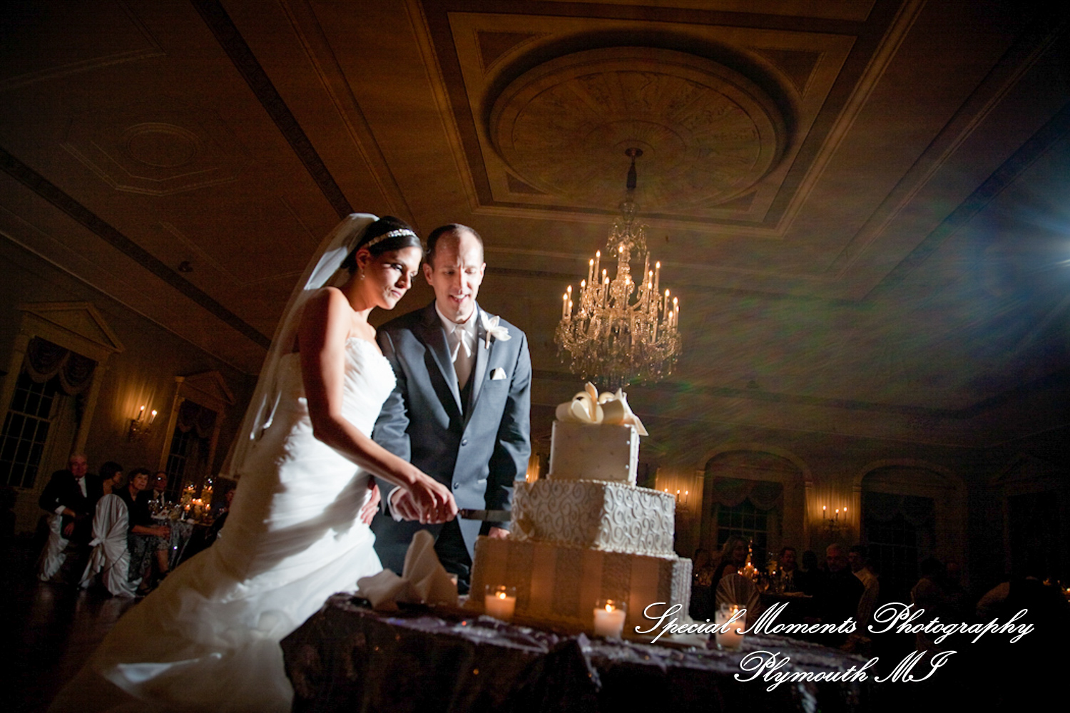 Nicole & Rob at Lovett Hall Greenfield Village Dearborn MI wedding photography