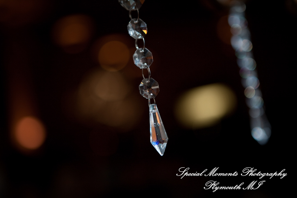 Arielle & Dave at St. John’s Resort Provincial Ballroom MI wedding photography