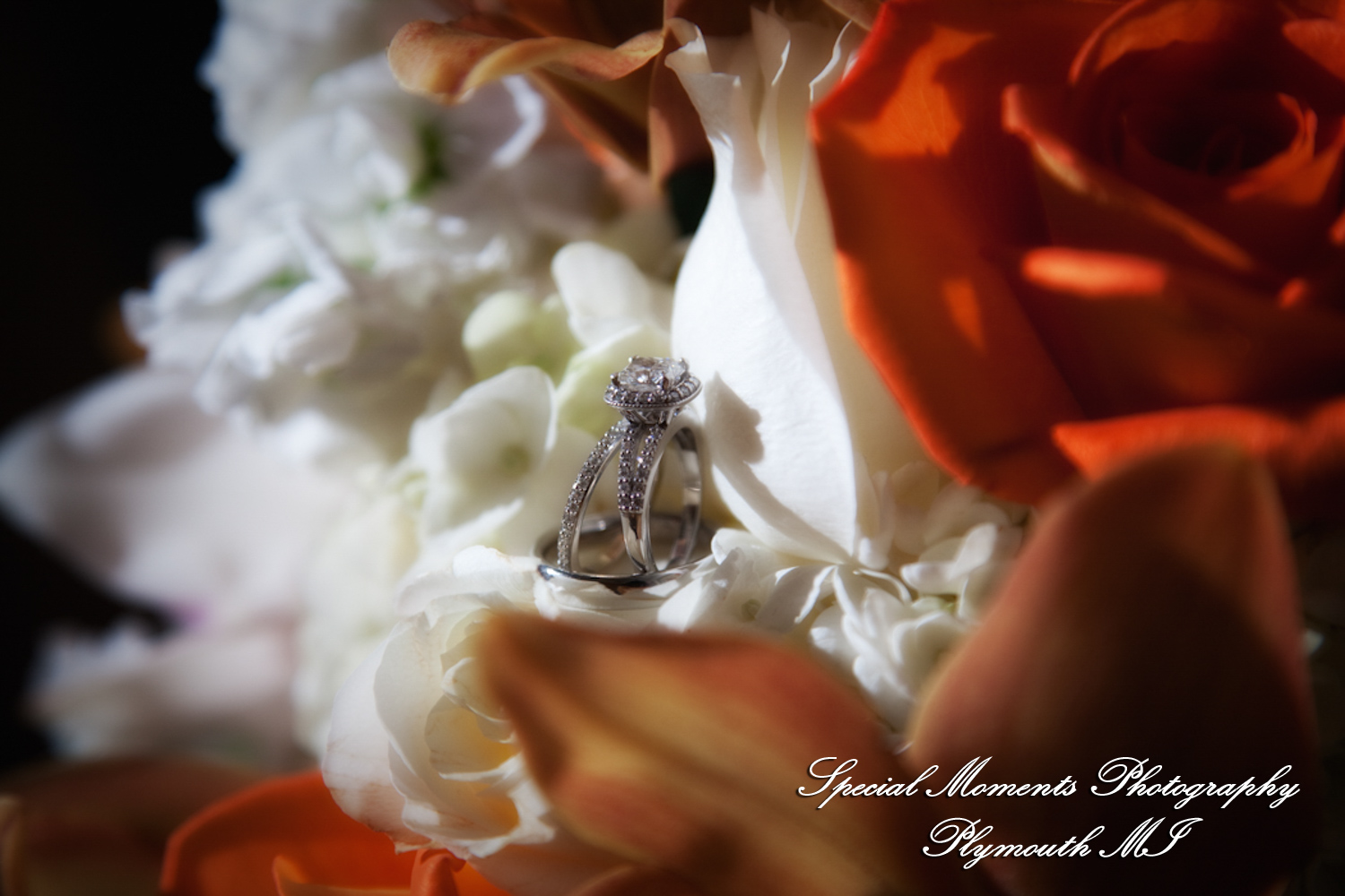 Nicole & Rob at Lovett Hall Greenfield Village Dearborn MI wedding photography