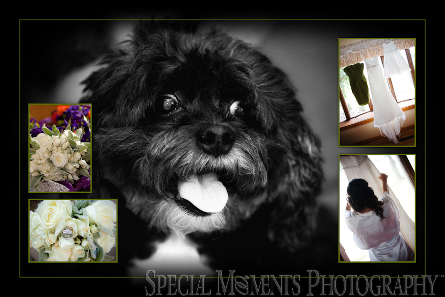 St. Charles Borromeo wedding photographs Newport MI