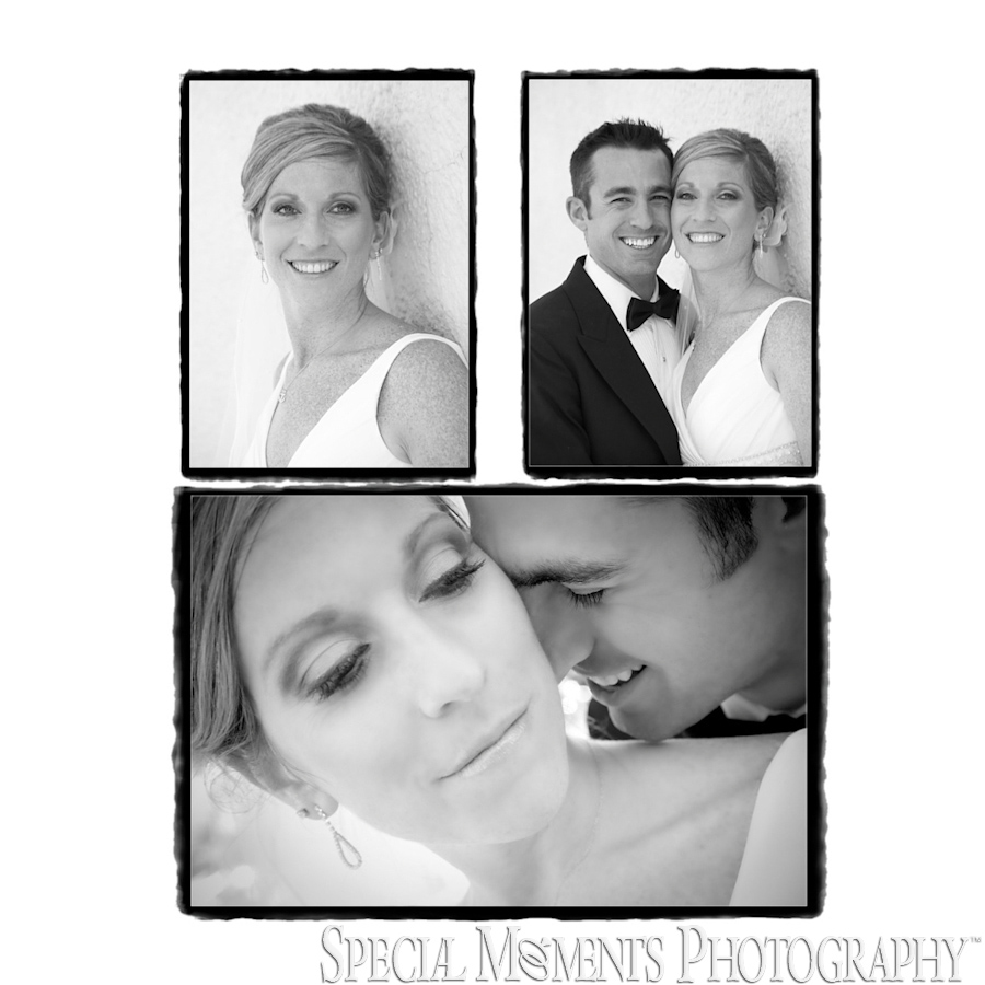Meeting House Grand Ballroom wedding photograph Plymouth MI