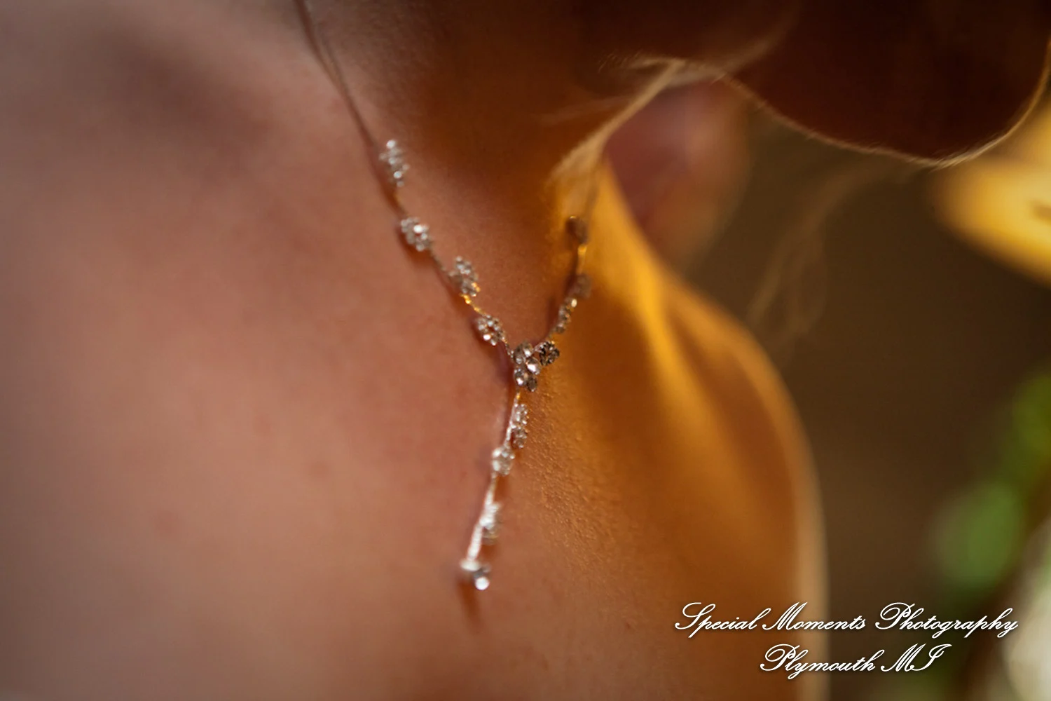 Pine Knob Mansion Clarkston MI wedding photograph