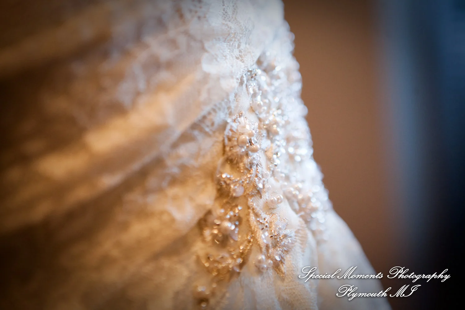 Pine Knob Mansion Clarkston MI wedding photograph