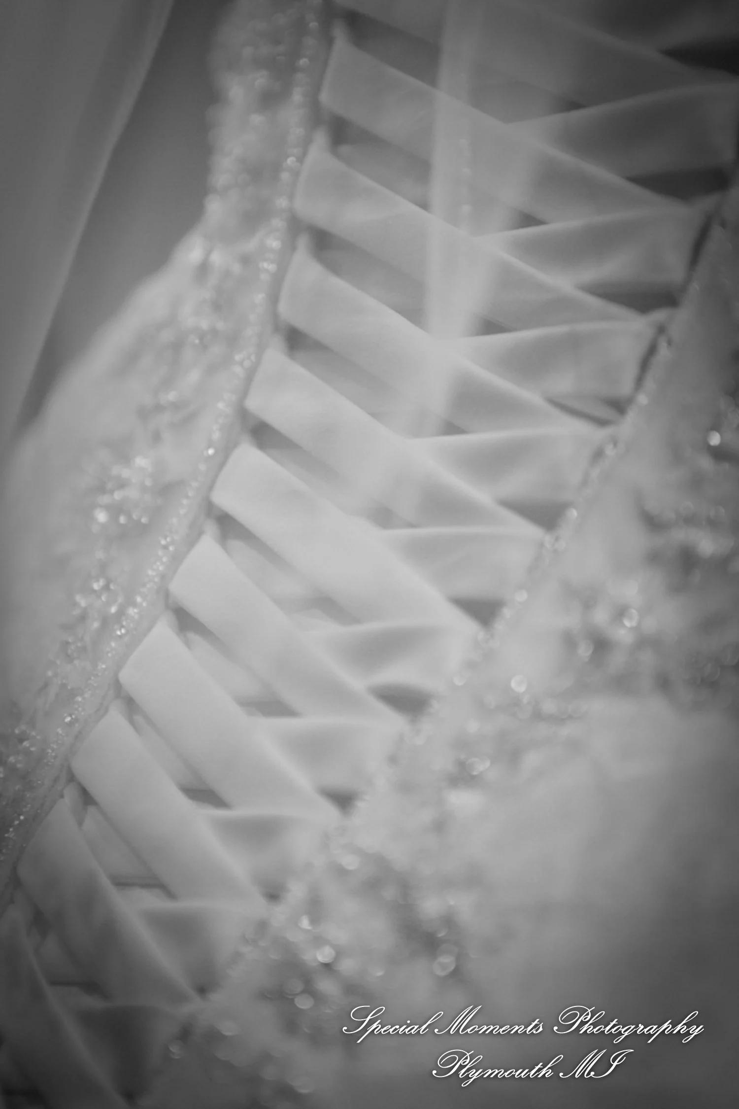 Pine Knob Mansion Clarkston MI wedding photograph