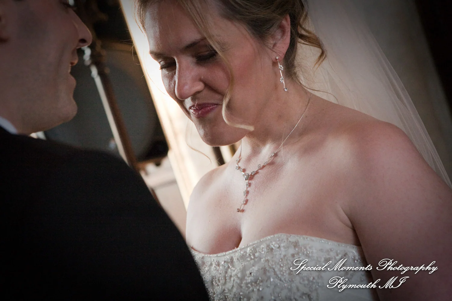 Pine Knob Mansion Clarkston MI wedding photograph