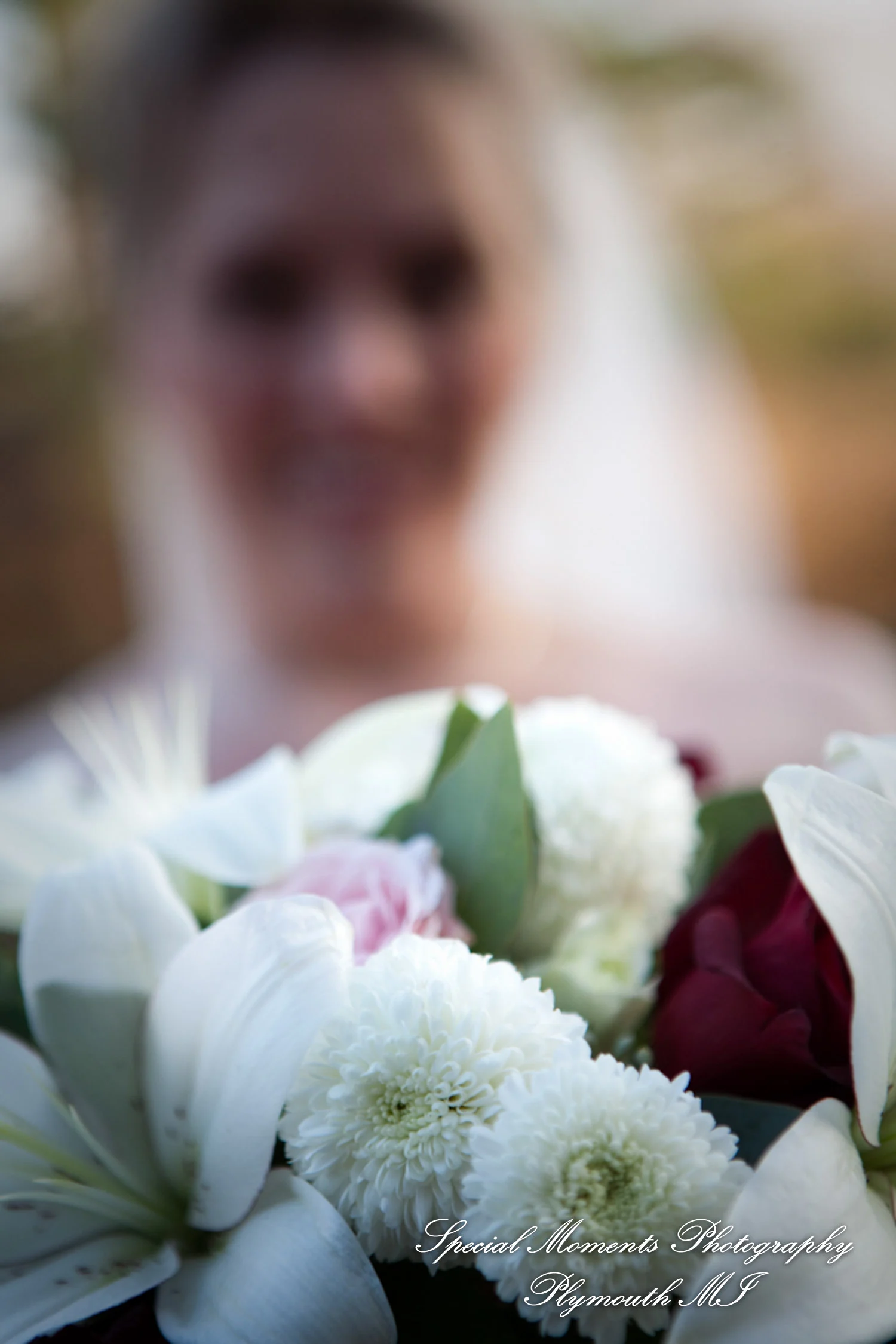 Pine Knob Mansion Clarkston MI wedding photograph