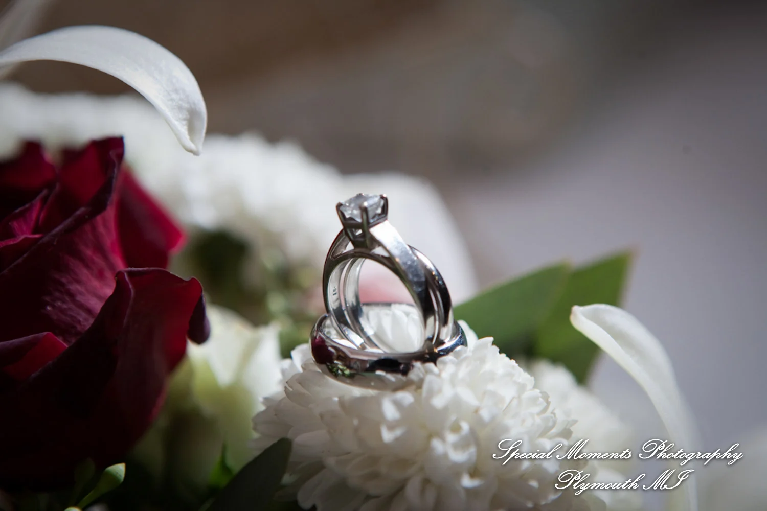 Pine Knob Mansion Clarkston MI wedding photograph