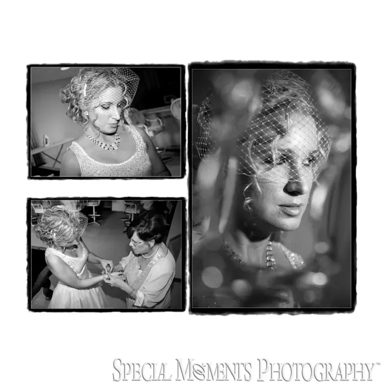 Home wedding & reception photography MI