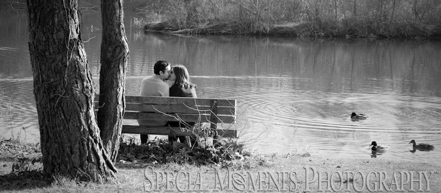Wilcox Lake Plymouth Engagement wedding photograph