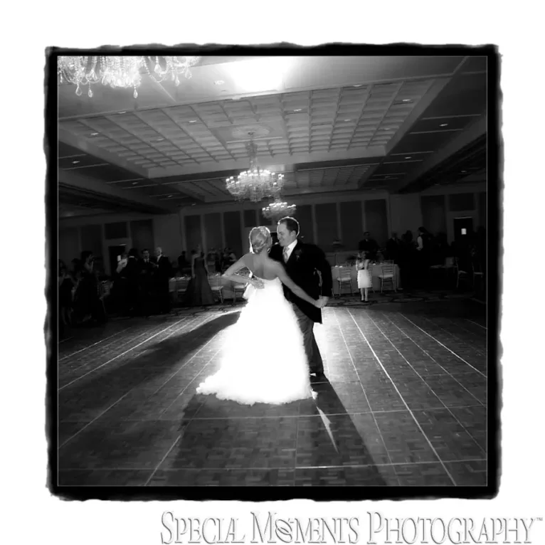 Fine Art Page - Shenandoah Country Club wedding West Bloomfield MI