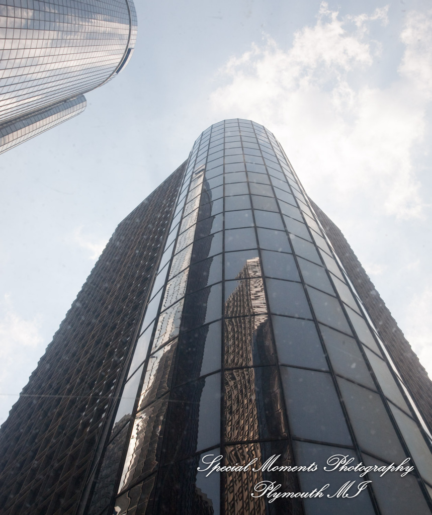Allison & Ken at Marriott Renaissance Center Detroit MI wedding photograph