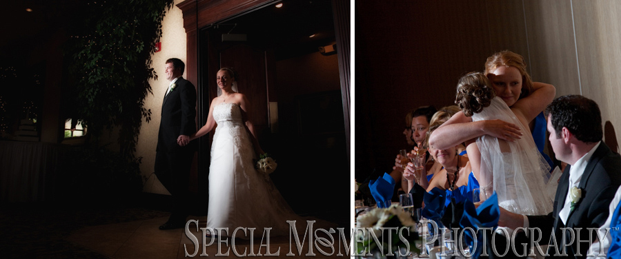 Crystal Gardens Southgate MI wedding