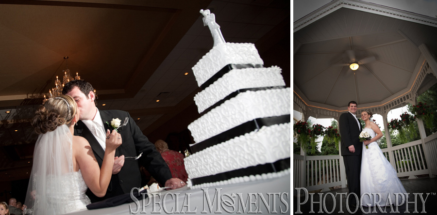 Crystal Gardens Southgate MI wedding