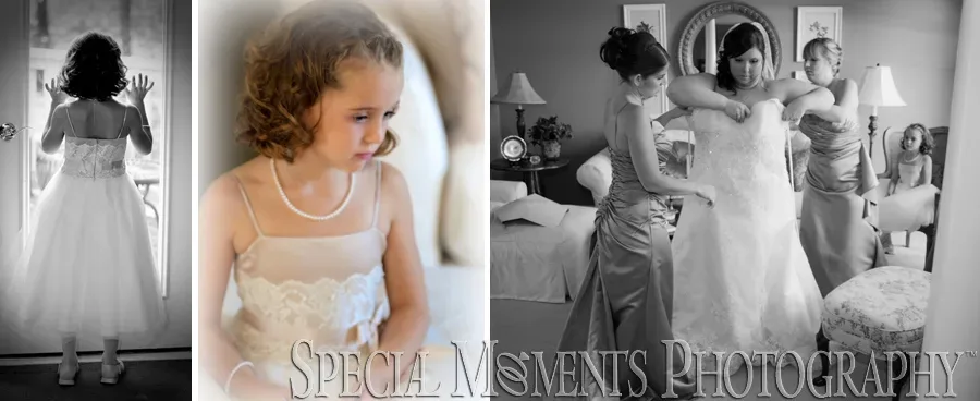 Plymouth Manor Plymouth MI wedding