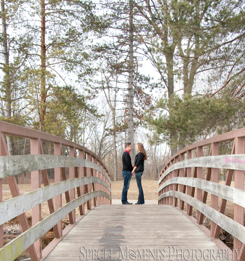 engagement photos Chelsea MI