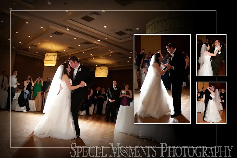 Sheraton Inn Ann Arbor MI wedding photograph