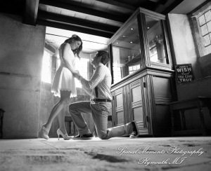 Alicia & Joseph at Greenfield Village Dearborn MI engagement photography