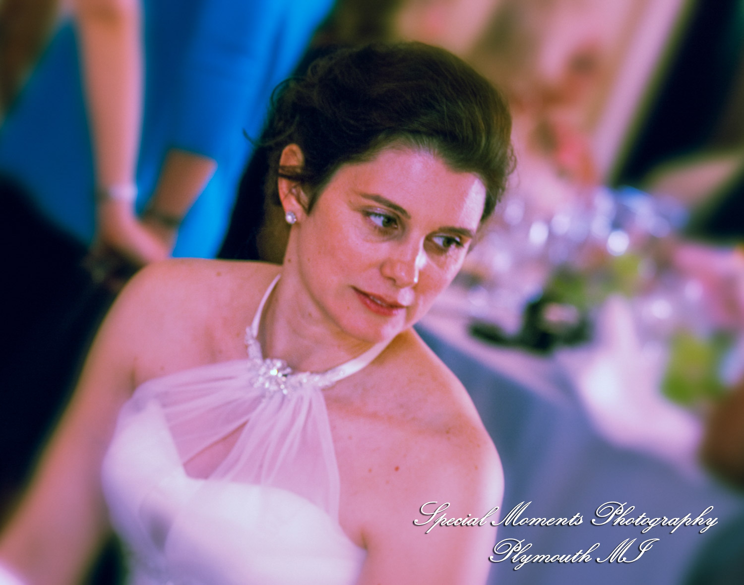 Lisa & Jeffrey at Montague Inn Saginaw MI wedding photography