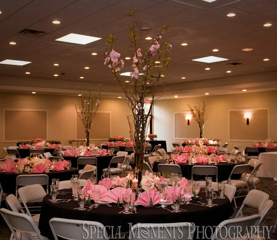 Temple Kol Ami West Bloomfield MI wedding photograph