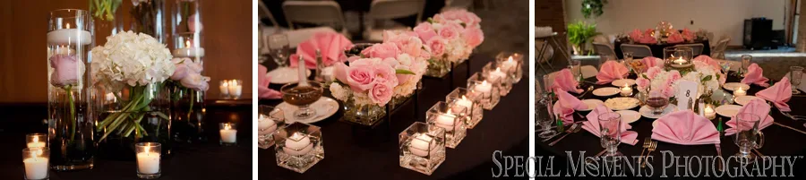 Temple Kol Ami West Bloomfield MI wedding photograph