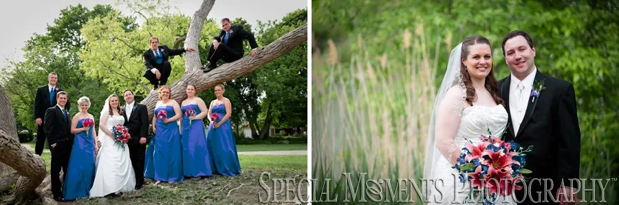Elizabeth Park Trenton MI wedding