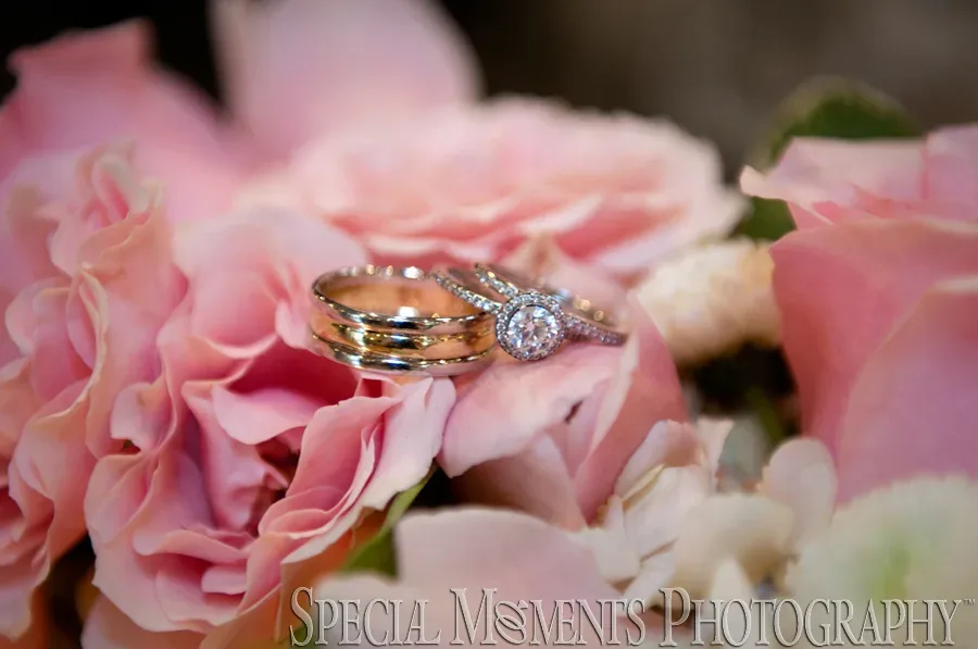Temple Kol Ami West Bloomfield MI wedding photograph