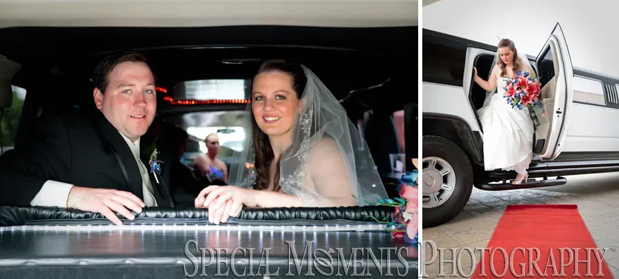 Elizabeth Park Trenton MI wedding