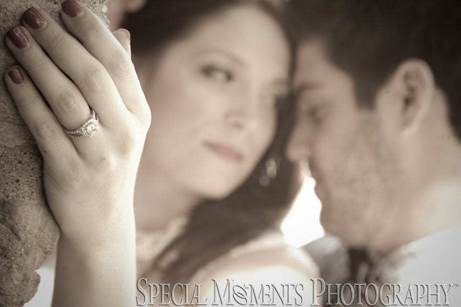The Henry Ford Village Engagement photos