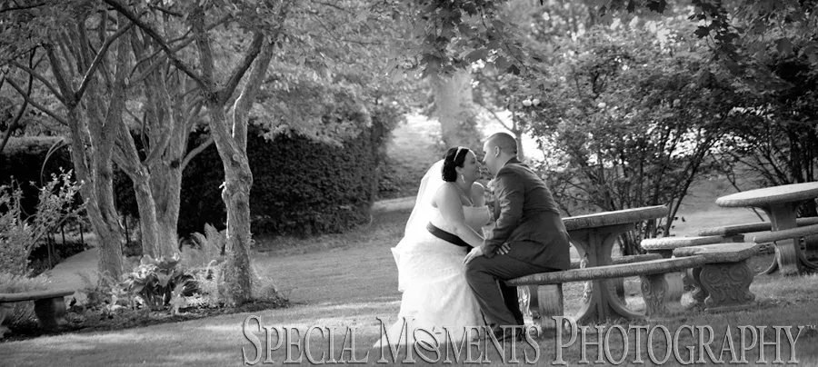 Wellers Carriage House Saline MI wedding photograph